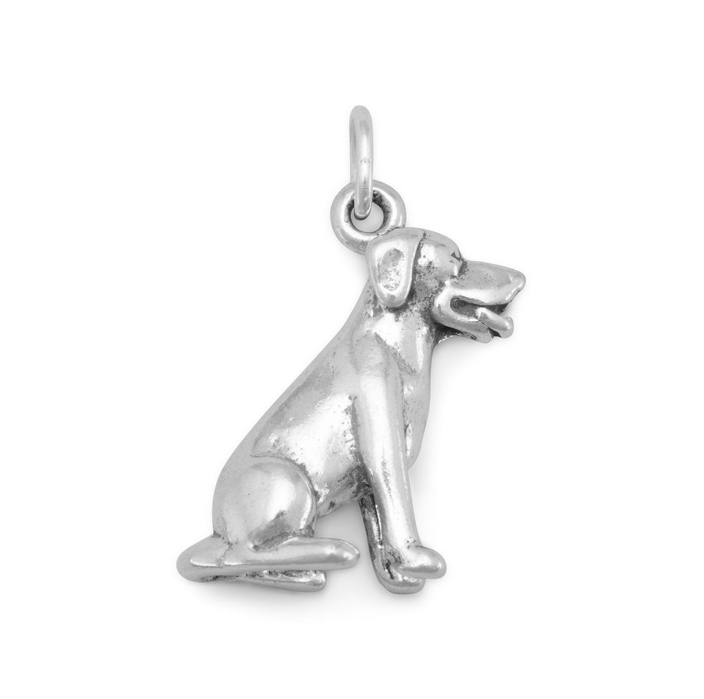 Sitting Labrador Dog Charm