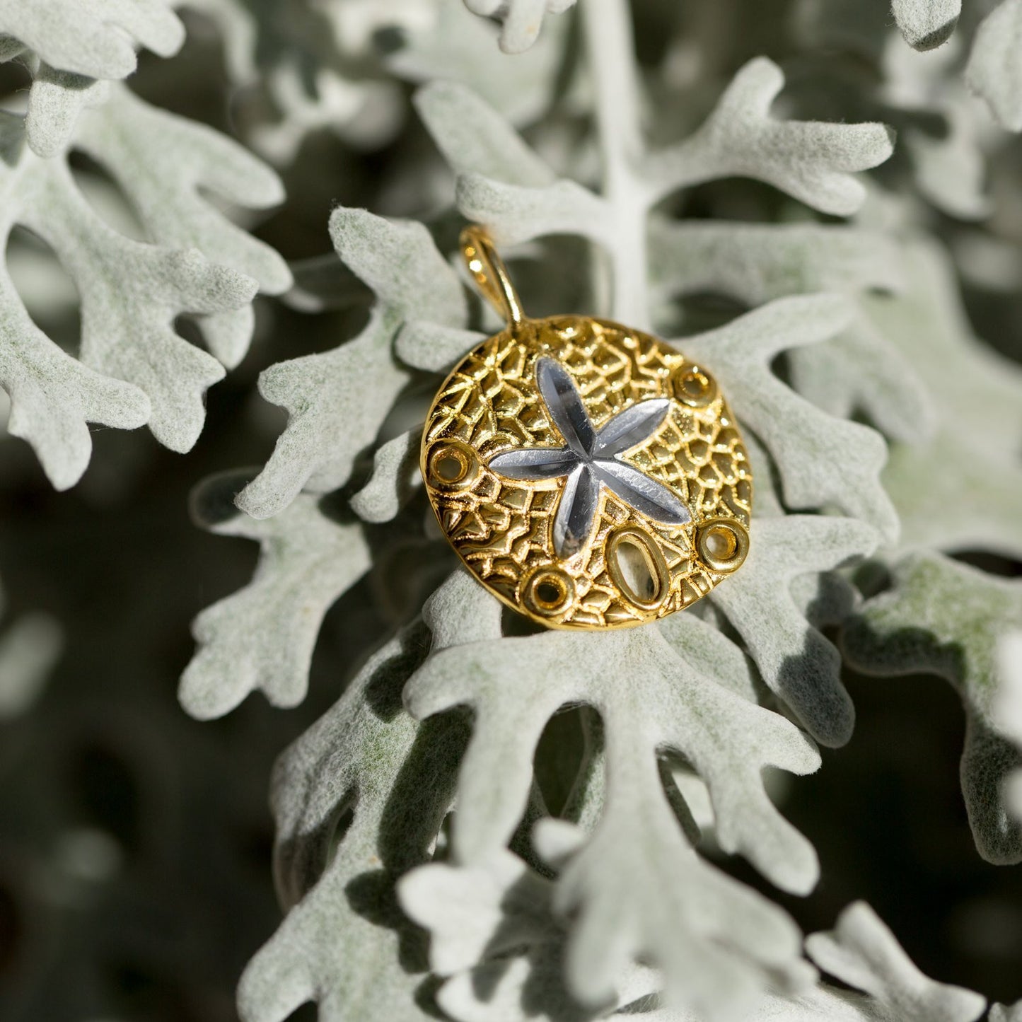 14 Karat Gold Plated Sand Dollar Pendant