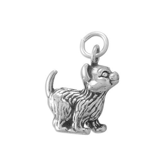 Sweet Kitten Charm